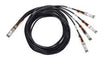 EAN 0882658836534 - Cisco QSFP-4SFP25G-CU3M= Cable de fibra óptica e InfiniBand 3 m 4xSFP25G Negro imagen 1