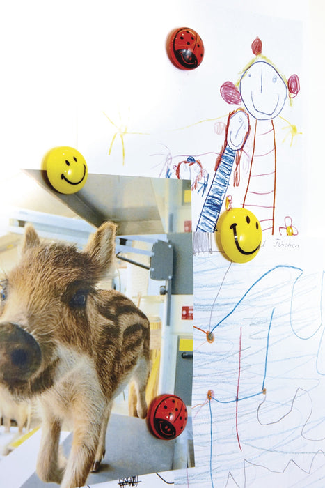 Magnetoplan Magnet Smilies 30mm Ge 6 Ud.