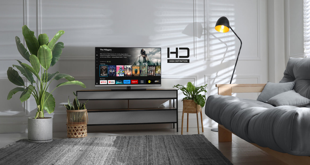 EAN 5025232964857 - Panasonic TB-24S40AEZ Televisor 61 cm (24") HD Smart TV Wifi Negro imagen 4