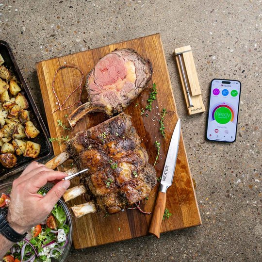 Meater 2plus W Lan Thermometer 50m Para Ofen, Grill, Küche