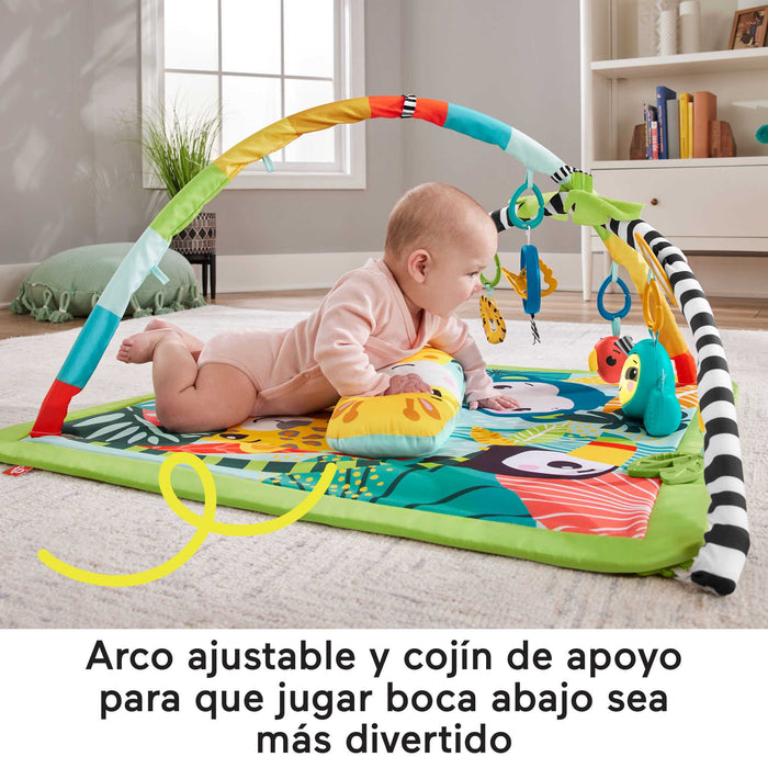 EAN 0194735095919 - Fisher-Price HJW08 gimnasio para bebé y tapete de juego Tela, Plástico Multicolor Manta de juegos para be imagen 12