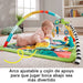 EAN 0194735095919 - Fisher-Price HJW08 gimnasio para bebé y tapete de juego Tela, Plástico Multicolor Manta de juegos para be imagen 12