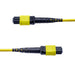 EAN 65030930291 - StarTech.com OS2MTP12AOFNP5M Cable de fibra óptica e InfiniBand MPO/MTP Violeta imagen 3