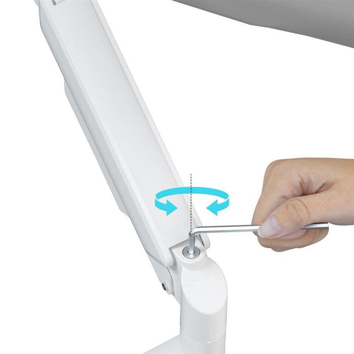 Gembird Desk Mounted Adjustable Double Monitor Arm 17-32" White