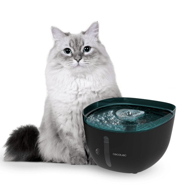 EAN 8435484095617 - Cecotec Pumba 2200 Refresh comedero y bebedero para perro y gato Plástico Negro, Azul Universal Bebedero  imagen 4