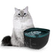 EAN 8435484095617 - Cecotec Pumba 2200 Refresh comedero y bebedero para perro y gato Plástico Negro, Azul Universal Bebedero  imagen 4