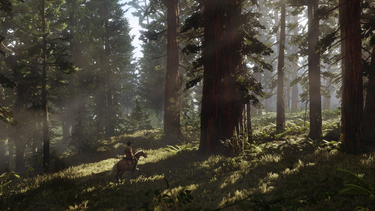 EAN 5026555359023 - Rockstar Games Red Dead Redemption 2 Estándar Xbox One imagen 26