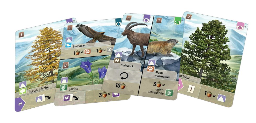 EAN 4260402311852 - Asmodee Mischwald Alpin 60 min Expansión de juego de cartas imagen 4