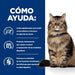 EAN 0052742042084 - Hills 605851 comida húmeda para gatos 3 kg imagen 3