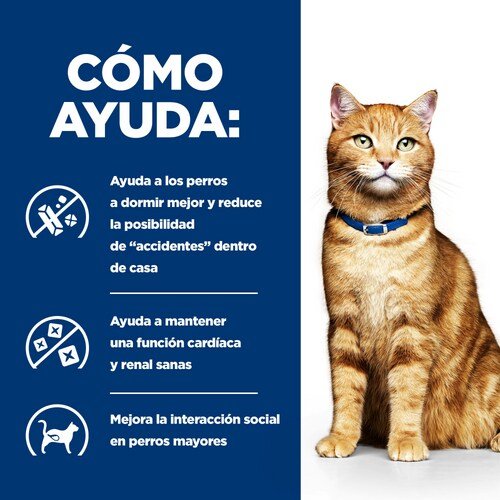 EAN 52742042213 - Hills 605889 comida húmeda para gatos 8 kg imagen 3