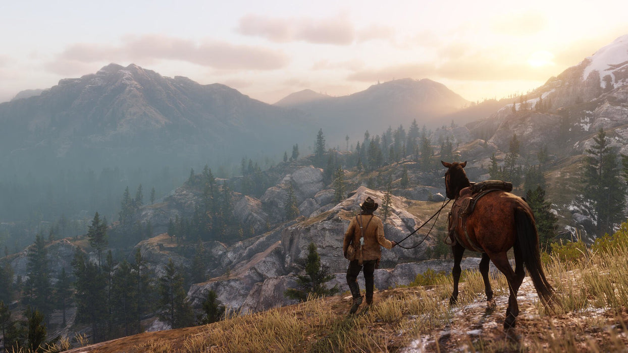 EAN 5026555359023 - Rockstar Games Red Dead Redemption 2 Estándar Xbox One imagen 21