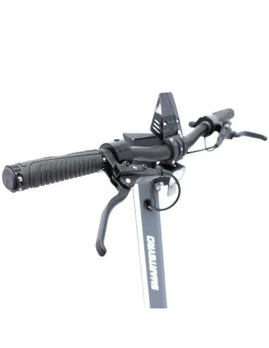 Patinete Smartgyro Raptor Evo