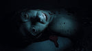 EAN 8436016712798 - Tesura Games Amber Alert imagen 5