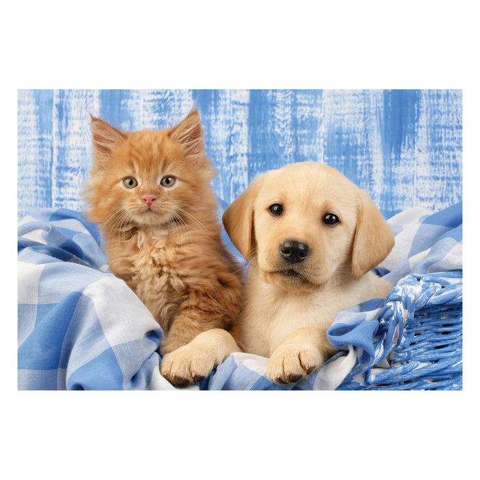 EAN 4001504563615 - Schmidt® Spiele 56361 puzzle Puzzle rompecabezas 48 pieza(s) Animales imagen 3
