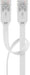 EAN 4040849933578 - Goobay 93357 cable de red Blanco 0,5 m Cat5e U/UTP (UTP) imagen 2
