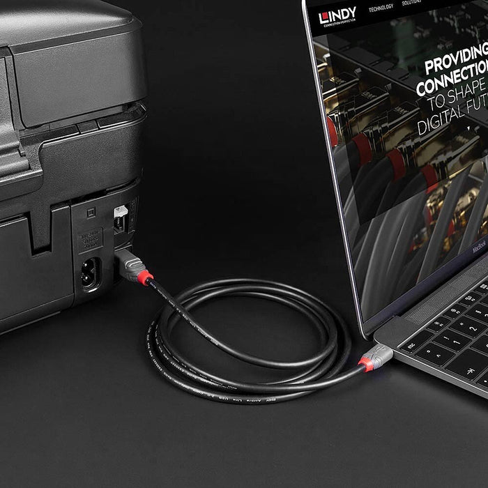 EAN 4002888369428 - Lindy 36942 cable USB USB 2.0 2 m USB C USB B Negro imagen 5