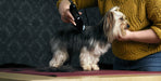 EAN 4015110034865 - Moser 1400-0076 cortadora de pelo de mascotas imagen 8