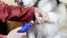 EAN 8710364083114 - Dremel F0137350PA no categorizado imagen 4