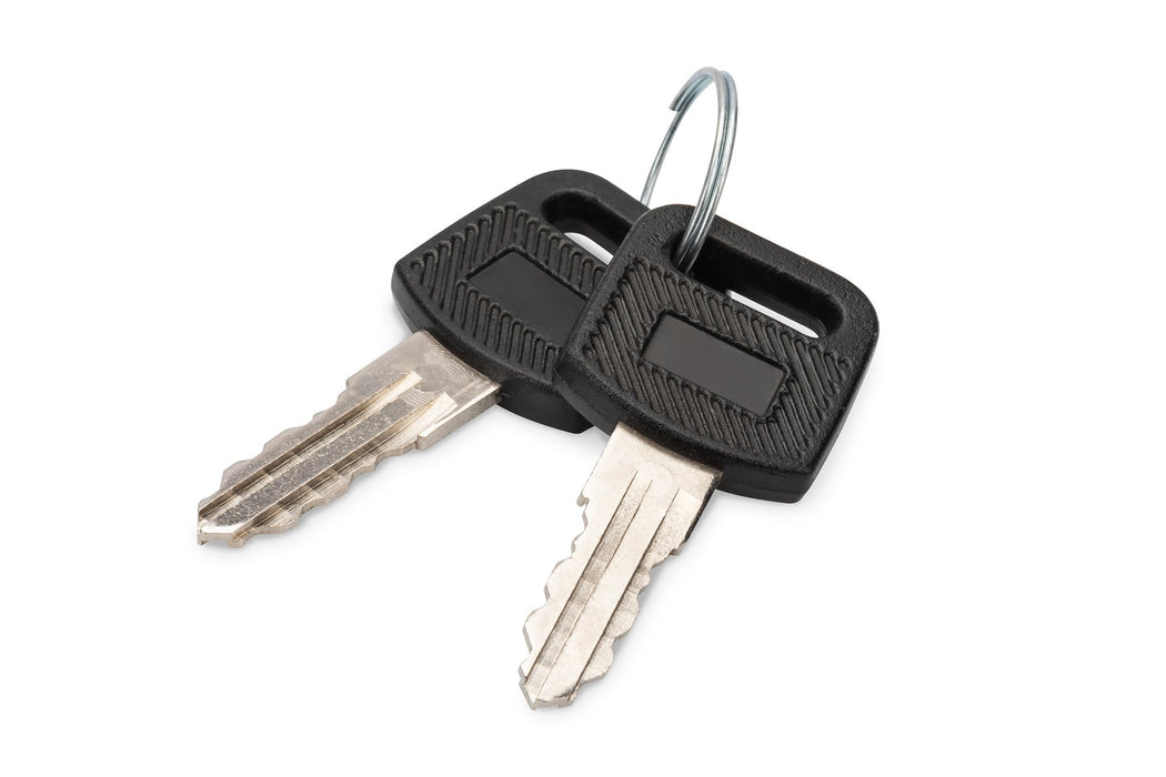 EAN 4016032490517 - Digitus DN-KEY-WM accesorio de bastidor Llave de cierre imagen 1