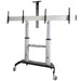 EAN 0065030891653 - StarTech.com STNDMTVDUO soporte para TV 152,4 cm (60") Negro, Plata imagen 1