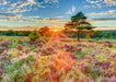 EAN 4001504597689 - Schmidt Spiele 59768 puzzle Puzzle rompecabezas 1000 pieza(s) Flora imagen 2