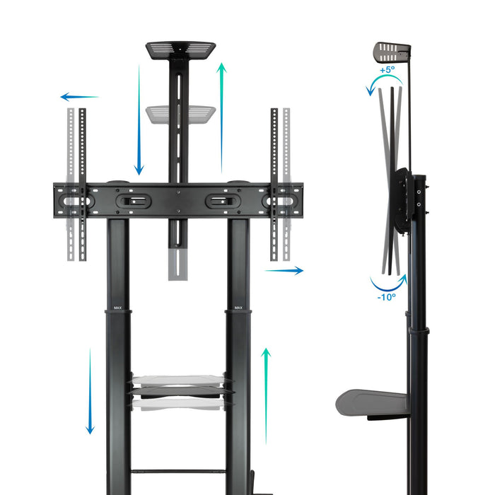 EAN 8433281012233 - TooQ ZEUS 2,54 m (100") Negro imagen 3