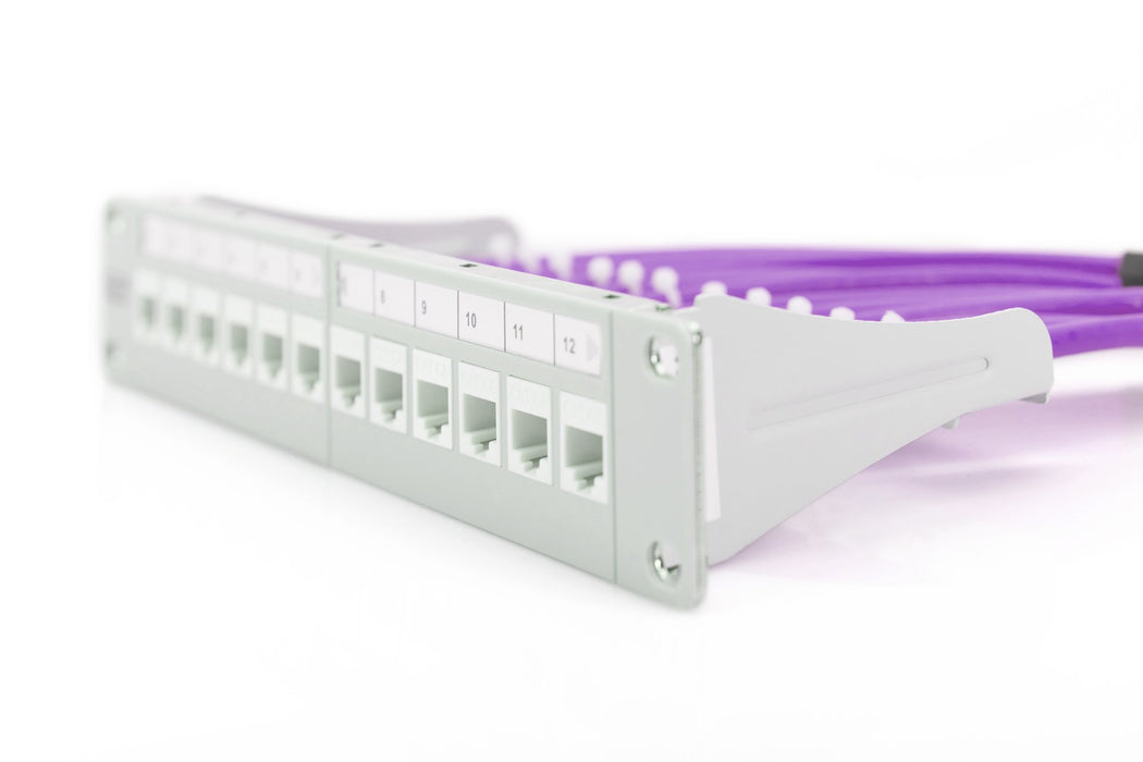 EAN 4016032343653 - Digitus DK-1613-VH-1 cable de red Violeta 100 m Cat6 U/UTP (UTP) imagen 4