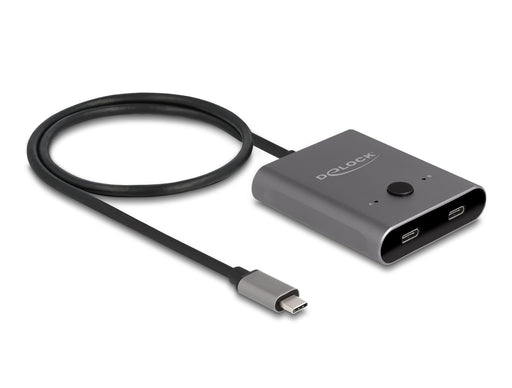 EAN 4043619115006 - DeLOCK 11500 hub de interfaz USB 3.2 Gen 2 (3.1 Gen 2) Type-C 10000 Mbit/s Gris imagen 1