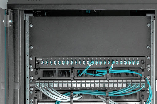 EAN 4016032185710 - Digitus DN-19 BPN-04-SW accesorio de bastidor imagen 2