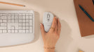 EAN 5099206134669 - Logitech Signature Comfort Plus M850 L ratón Universal Mano derecha RF Wireless + Bluetooth Óptico 4000 D imagen 2