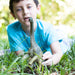 EAN 4055744011603 - schleich Dinosaurs 14581 figura de juguete para niños imagen 4