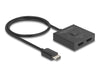 EAN 4043619189014 - DeLOCK 18901 interruptor de video imagen 1