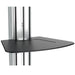 EAN 0065030863292 - StarTech.com STNDMTV70 soporte para pantalla de señalización 190,5 cm (75") Negro, Acero inoxidable imagen 2