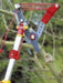 EAN 4008423878561 - WOLF-Garten RC-VM tijeras de podar Negro, Rojo imagen 4