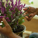 EAN 6411501706416 - Fiskars 1075317 no categorizado imagen 4