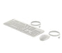 EAN 0198701735489 - HP 225 Wired Mouse and Keyboard Combo G2 Cashmere White teclado Ratón incluido Oficina USB Blanco imagen 6