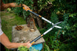EAN 6411501148001 - Fiskars 114800 tijera y recortadora de setos imagen 3