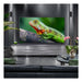 EAN 8806096419038 - LG 43QNED84A6C.AEU Televisor 109,2 cm (43") 4K Ultra HD Smart TV Wifi Negro imagen 4