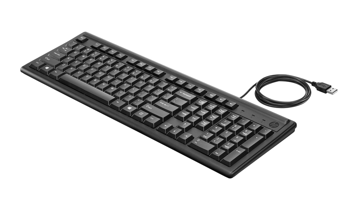 EAN 0194850790577 - HP Keyboard 100 teclado Hogar USB Negro imagen 2