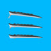 EAN 5099206077393 - Logitech 920-008677 teclado Ratón incluido Universal RF inalámbrico QWERTZ Suizo Negro imagen 9