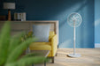 EAN 8720389036842 - Philips 2000 series CX2550/00 ventilador Gris imagen 16