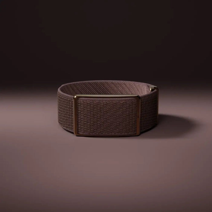 Polar Loop Gen2 S-L Brown Copper