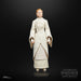 EAN 5010994179328 - Star Wars The Black Series F55305X0 toy figure imagen 5