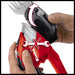 EAN 4006825626223 - Einhell GE-CG 12 Li WT tijera de césped inalámbrica 10 cm 12 V Ión de litio Negro, Rojo imagen 8