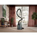 EAN 7333394021379 - Electrolux EB51C1OG 3 L Aspiradora cilíndrica Secar 750 W Sin bolsa imagen 15
