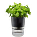 EAN 4006664189200 - GEFU BOTANICO Maceta para hierbas aromáticas Independiente Plástico, Acero inoxidable Negro imagen 1