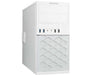EAN 4250749709504 - bluechip MEDICAL T3300 Intel® Core™ i5 i5-12400 8 GB DDR5-SDRAM 500 GB SSD Windows 11 Pro Mini Tower PC B imagen 1