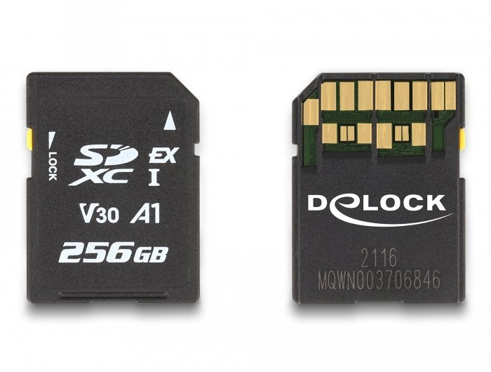 Card Delock Express Speicherkarte 256 Gb