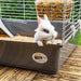 EAN 8010690101590 - Ferplast Rabbit 100 Cobaya, Rabit Gris, Blanco imagen 3