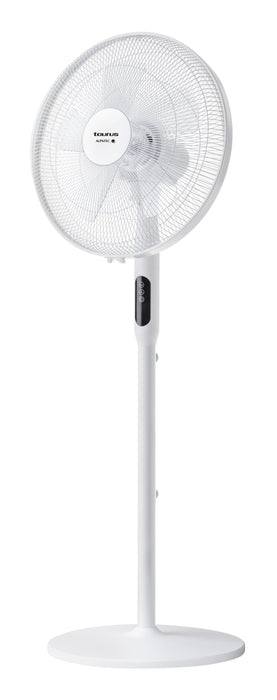 EAN 8414234472656 - Taurus Ice Brise Blanco imagen 1